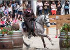 Pferd International 115